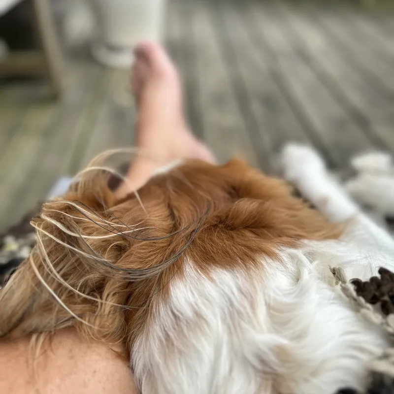 Hvad hører du som jeg ikke hører - Utålmodig?